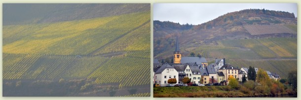 German Mosel