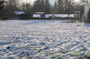 Look! Snow makes clean sheets even whiter! Photo: Anje Kirsch