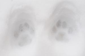 Look! I was here! Photo: Anje Kirsch