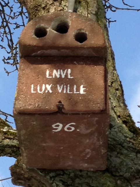 Flying high. Photo: Lisbeth Ganer