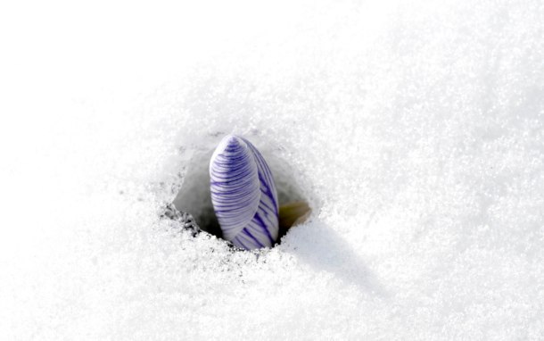 Hello? Hellooo? Where is everbody? Photo: Anje Kirsch. © 2013 Anje Kirsch