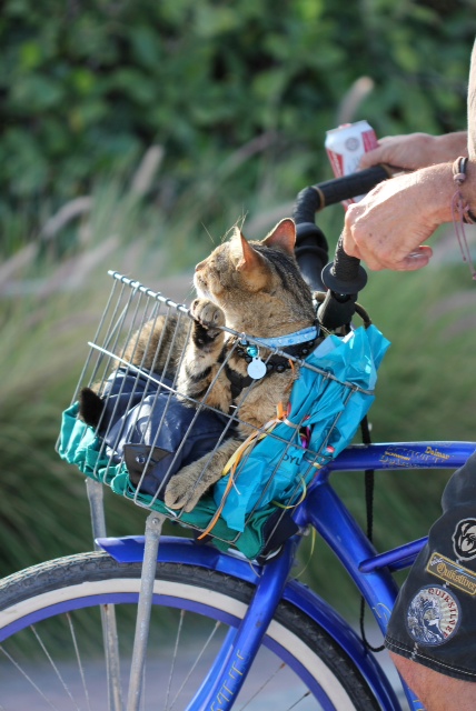 Photo: Lisbeth Ganer © 2013 Lisbeth Ganer