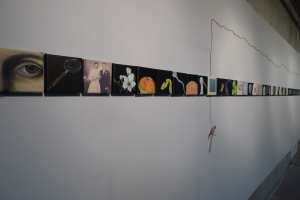 Still Life - Still Line. Photo: Private (Diane Jodes)