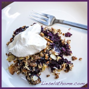 blueberry crumble