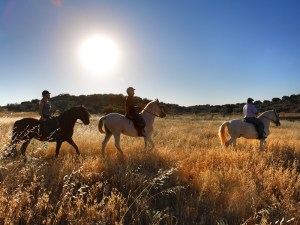 Photo credit: Barceló La Bobadilla Hotel