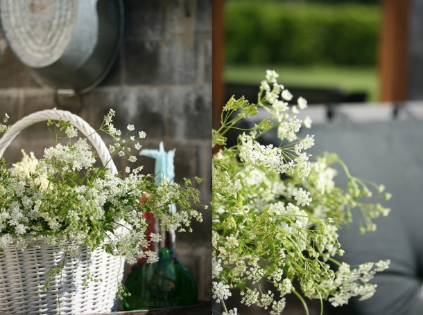 Spring on the terrace