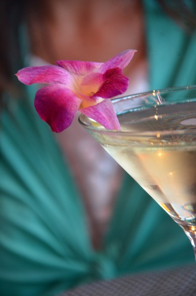 Elderflower cocktail