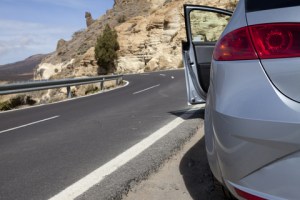 © Barbara Oleksa | Dreamstime.com 