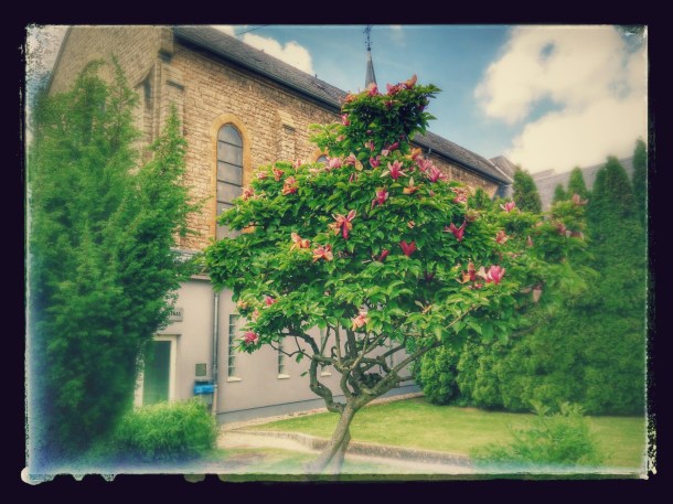 IMG_20150522_150136-EFFECTS