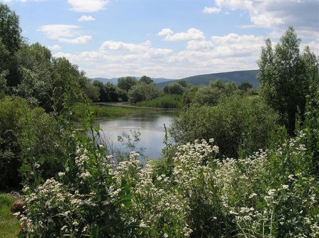 Photo credit: http://www.transylvaniancastle.com/